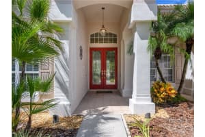 17890 ARBOR GREENE DRIVE, TAMPA, FL 33647 - MLS#MFRTB8423528