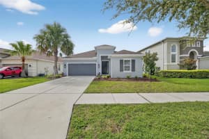 17724 BRIGHT WHEAT DRIVE, LITHIA, FL 33547 - MLS#MFRTB8423535
