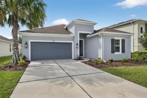 17724 BRIGHT WHEAT DRIVE, LITHIA, FL 33547 - MLS#MFRTB8423535