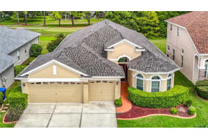 3238 SAGO POINT COURT, LAND O LAKES, FL 34639 - MLS#MFRTB8423556