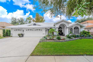 3901 TARIAN COURT, PALM HARBOR, FL 34684 - MLS#MFRTB8423566