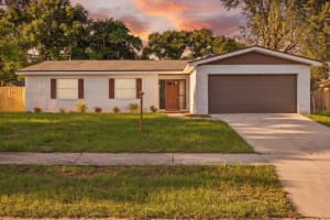 3820 Ravenna Dr, VALRICO