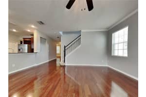 16230 PALMETTOGLEN COURT, LITHIA, FL 33547 - MLS#MFRTB8423595