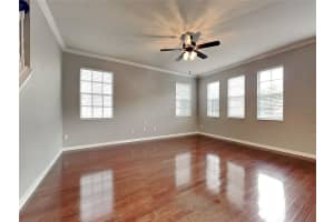 16230 PALMETTOGLEN COURT, LITHIA, FL 33547 - MLS#MFRTB8423595