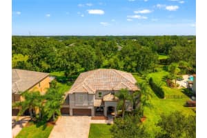 19813 WELLINGTON MANOR BOULEVARD, LUTZ, FL 33549 - MLS#MFRTB8423603