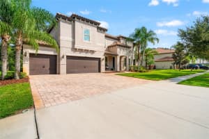 19813 WELLINGTON MANOR BOULEVARD, LUTZ, FL 33549 - MLS#MFRTB8423603