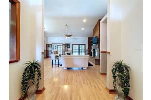 1851 GEORGIA AVENUE, PALM HARBOR, FL 34683 - MLS#MFRTB8423631