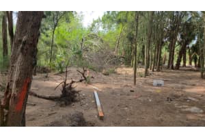 FREEBOARD CT, HUDSON, FL 34667 - MLS#MFRTB8423669