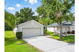 25906 TERRAWOOD LOOP, LAND O LAKES, FL 34639 - MLS#MFRTB8423671