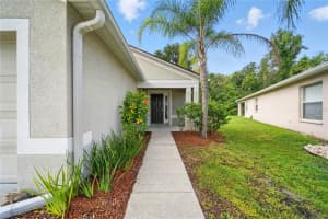 25906 TERRAWOOD LOOP, LAND O LAKES, FL 34639 - MLS#MFRTB8423671
