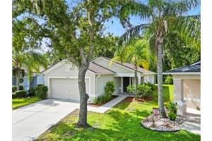 25906 TERRAWOOD LOOP, LAND O LAKES, FL 34639 - MLS#MFRTB8423671