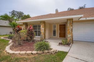 6226 EAGLEBROOK AVENUE, TAMPA, FL 33625 - MLS#MFRTB8423672