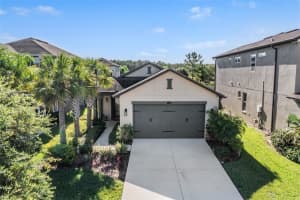 28974 Trevi Pl, WESLEY CHAPEL
