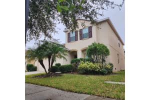 20205 AUTUMN FERN AVENUE, TAMPA, FL 33647 - MLS#MFRTB8423698