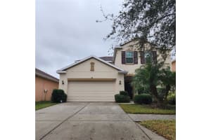 20205 AUTUMN FERN AVENUE, TAMPA, FL 33647 - MLS#MFRTB8423698