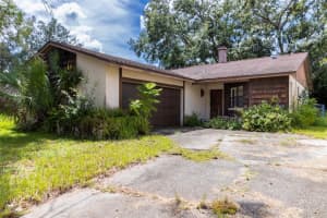 18412 Swan Lake Dr, LUTZ