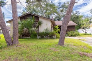 18412 SWAN LAKE DRIVE, LUTZ, FL 33549 - MLS#MFRTB8423699