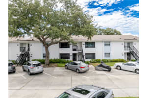 4508 OAK DRIVE, TAMPA, FL 33611 - MLS#MFRTB8423702