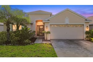 11317 CYPRESS RESERVE DRIVE, TAMPA, FL 33626 - MLS#MFRTB8423715