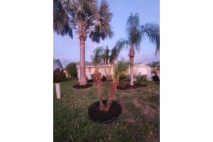 2228 SOCIETY DRIVE, HOLIDAY, FL 34691 - MLS#MFRTB8423721