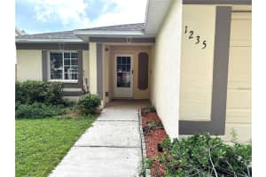 1235 ALPINE LAKE DRIVE, BRANDON, FL 33511 - MLS#MFRTB8423727