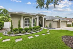 5441 WINHAWK WAY, LUTZ, FL 33558 - MLS#MFRTB8423737