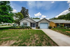 11805 Loblolly Pine Dr, NEW PORT RICHEY 11805 Loblolly Pine Dr, NEW PORT RICHEY