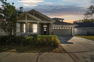 18034 LAKE REFLECTIONS BOULEVARD, LUTZ, FL 33558 - MLS#MFRTB8423775