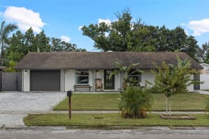 8212 Donaldson Dr, TAMPA