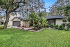 113 BLOOMINGFIELD DRIVE, BRANDON, FL 33511 - MLS#MFRTB8423808