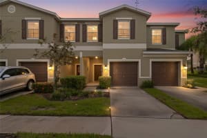 20451 Berrywood Ln, TAMPA