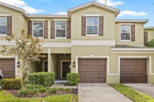 20451 BERRYWOOD LANE, TAMPA, FL 33647 - MLS#MFRTB8423825