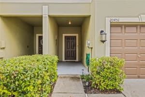 20451 BERRYWOOD LANE, TAMPA, FL 33647 - MLS#MFRTB8423825