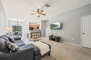 20451 BERRYWOOD LANE, TAMPA, FL 33647 - MLS#MFRTB8423825