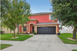 20410 AUTUMN FERN AVENUE, TAMPA, FL 33647 - MLS#MFRTB8423838