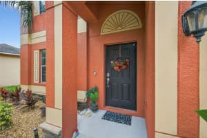 20410 AUTUMN FERN AVENUE, TAMPA, FL 33647 - MLS#MFRTB8423838