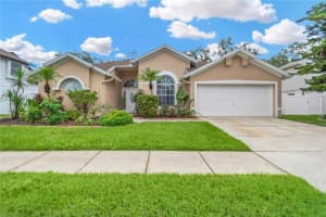 9806 SUNNYOAK DRIVE, RIVERVIEW, FL 33569 - MLS#MFRTB8423841