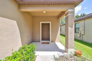 4516 PAPER MULBERRY PLACE, RIVERVIEW, FL 33578 - MLS#MFRTB8423872