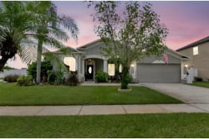 3341 PINE TOP DRIVE, VALRICO, FL 33594 Sold 11/26/25