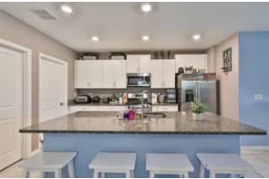 9317 LEMON DROP LOOP, RUSKIN, FL 33573 - MLS#MFRTB8423922