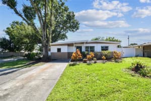 6219 N Hale Ave, TAMPA
