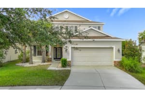 8310 WILLOW BEACH DRIVE, RIVERVIEW, FL 33578 - MLS#MFRTB8423926