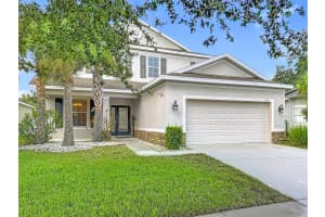 8310 WILLOW BEACH DRIVE, RIVERVIEW, FL 33578 - MLS#MFRTB8423926