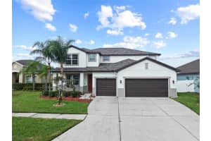 3825 Buckinghamshire Dr, LAND O LAKES