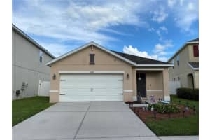 10408 Whispering Hammock Dr, RIVERVIEW