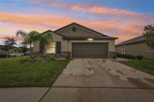 9726 CHANNING HILL DRIVE, SUN CITY CENTER, FL 33573 - MLS#MFRTB8423985