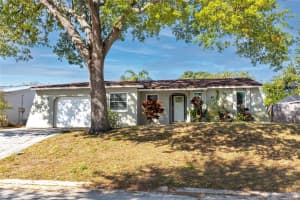 849 KAREN STREET, PALM HARBOR, FL 34684 - MLS#MFRTB8424002