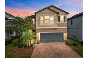 17349 CRUISER BEND, LAND O LAKES, FL 34638 - MLS#MFRTB8424021