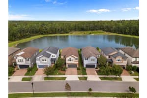 17349 CRUISER BEND, LAND O LAKES, FL 34638 - MLS#MFRTB8424021