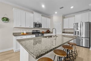17349 CRUISER BEND, LAND O LAKES, FL 34638 - MLS#MFRTB8424021